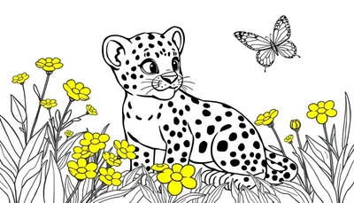 Dessin au trait d'un bébé léopard blanc avec des taches noires, assis et regardant vers le haut un papillon en vol. La partie inférieure est remplie d'herbe, de feuilles et de nombreuses petites fleurs jaunes.