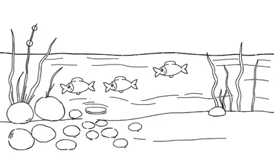 Dessin au trait noir et blanc d'une scène sous-marine pour coloriage, montrant trois poissons stylisés nageant parmi des plantes aquatiques ondulantes, des rochers et des galets.