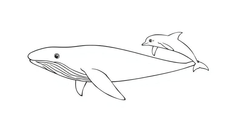 Dessin au trait d'une baleine et d'un dauphin, style livre de coloriage, color panel.