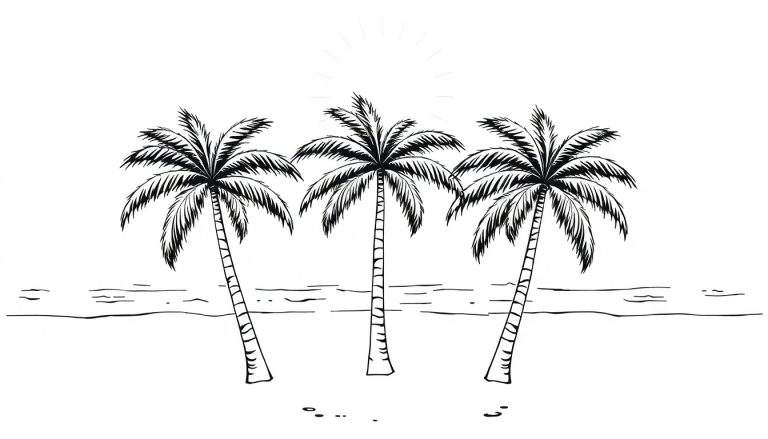 Dessin en noir et blanc d'une plage tropicale avec trois palmiers, un soleil stylisé et l'océan.