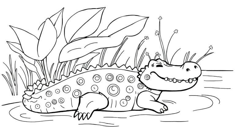 Dessin au trait d'un crocodile souriant dans l'eau avec des nénuphars, prêt pour un color panel.