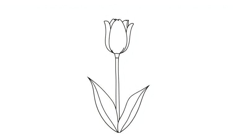 Dessin au trait d'une tulipe colorée.