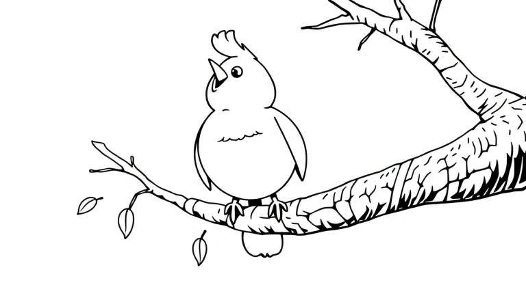 Dessin au trait d'un oiseau chantant perché sur une branche d'arbre avec des feuilles, idéal pour le color panel.