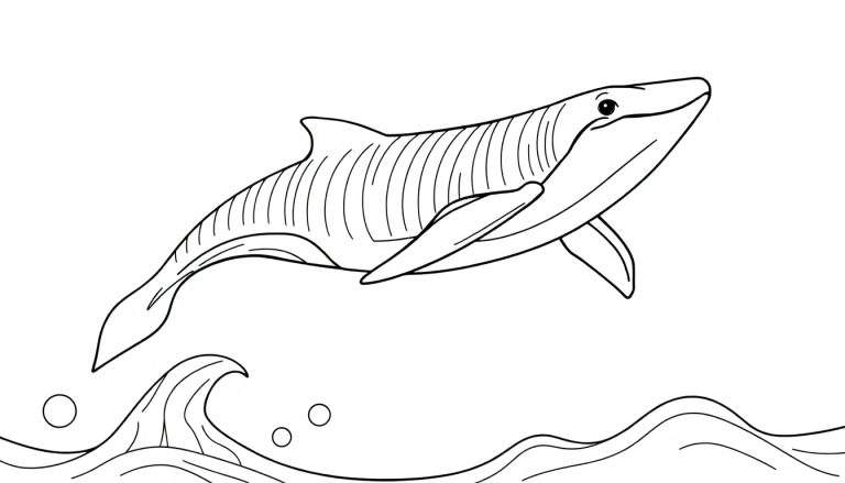 Dessin au trait d'une orque sautant hors de l'eau, un color panel à colorier.