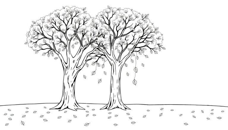Deux grands arbres en noir et blanc, avec des feuilles tombant, sur un sol plat.