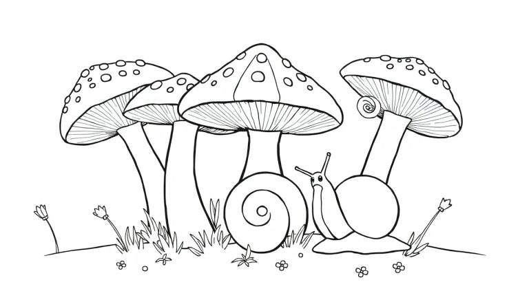 Dessin noir et blanc d'une scène avec trois champignons de style amanite tue-mouches et deux escargots, sur un sol parsemé d'herbe et de fleurs. C'est une page de coloriage pour enfants.