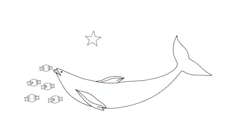 Un dauphin stylisé noir et blanc chasse quatre petits poissons sous une étoile flottante, dans un style color panel épuré.