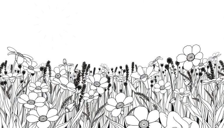 Un dessin au trait d'un champ de fleurs avec un soleil.