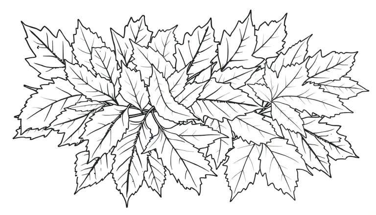 Color panel d'un dessin au trait de feuilles d'automne superposées, parfait pour le coloriage.