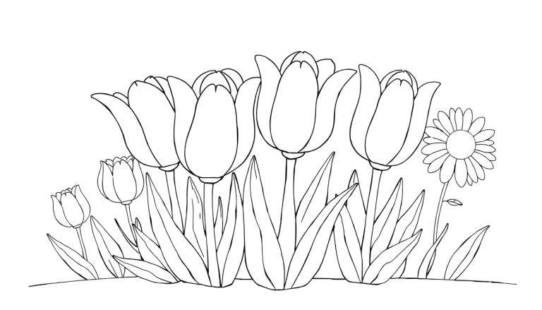 Dessin au trait de tulipes et d'une marguerite avec un color panel.