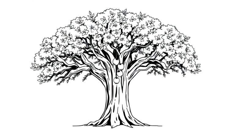 Arbre dessiné au trait avec des feuilles et des fleurs, et trois fruits ronds.