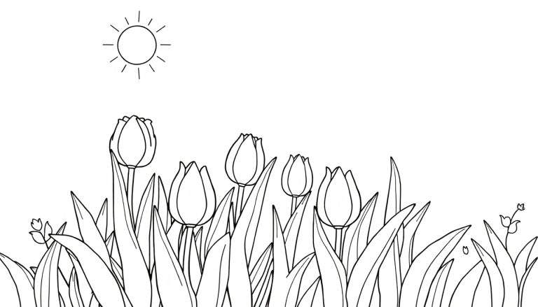Dessin au trait d'un champ de tulipes sous le soleil avec un soleil stylisé.