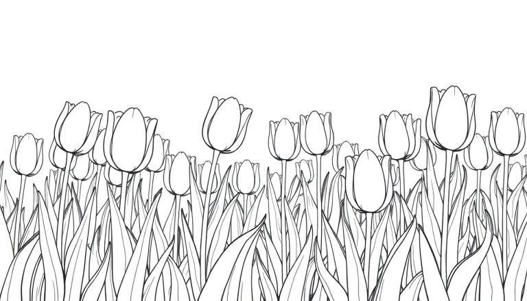 Dessin au trait noir de tulipes sur fond blanc, prêt pour un color panel.
