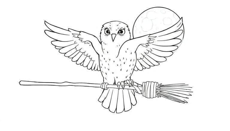 Coloriage d'une chouette blanche assise sur un balai, devant un grand croissant de lune.