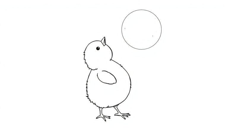 Dessin au trait d'un petit poussin mignon regardant un grand cercle vide pour coloriage.